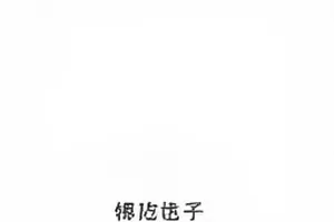 《第七码头》悬疑剧货轮夜泊码头